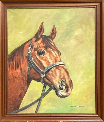 École moderne.
Tête de cheval.
Huile sur...