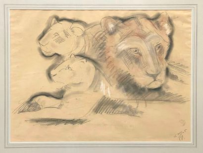 Gustave GUEITANT (1873-1953).
Étude de lionne....