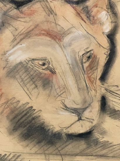 Gustave GUEITANT (1873-1953).
Étude de lionne....