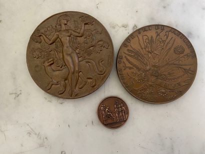 Lot de trois médailles commémoratives.
-...