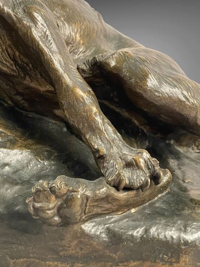 Thomas CARTIER (1879-1936).
Loup blessé.
Bronze...