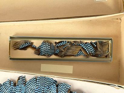 Jay feathers, France, circa 1890-1900.
Large...