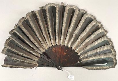 Jay feathers, France, circa 1890-1900.
Large...