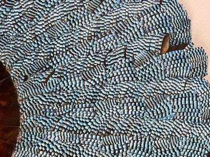 Jay feathers, France, circa 1890-1900.
Large...
