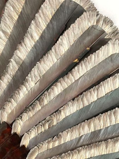 Jay feathers, France, circa 1890-1900.
Large...