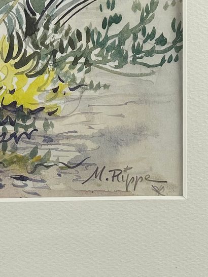 RIPPE (XXe siècle).
Réunion de cinq aquarelles...