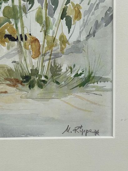 RIPPE (XXe siècle).
Réunion de cinq aquarelles...