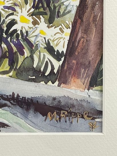 RIPPE (XXe siècle).
Réunion de cinq aquarelles...