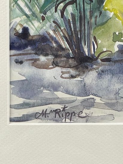 RIPPE (XXe siècle).
Réunion de cinq aquarelles...