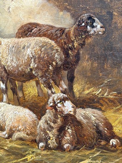 Charles-Ferdinand CERAMANO (1831-1909)
Sheep...