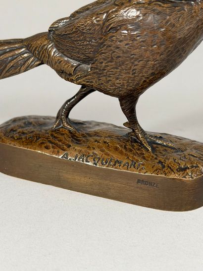 After Henri-Alfred JACQUEMARD (1824-1896)
Pheasant....