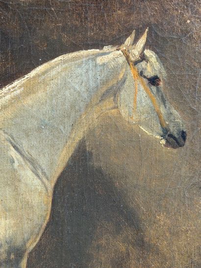 Wouterus I VERSCHUUR (1812-1874) 
Yanko,...