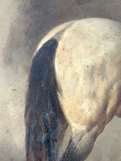 Wouterus I VERSCHUUR (1812-1874) 
Yanko,...