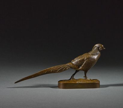 After Henri-Alfred JACQUEMARD (1824-1896)
Pheasant....
