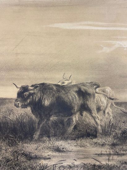 Rosa BONHEUR (1822-1899). 
Herd of Cows....