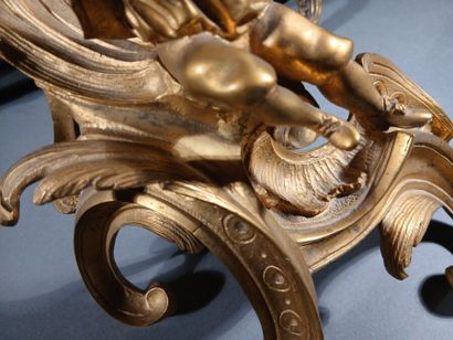 Pair of gilded bronze andirons, chiseled...