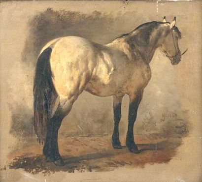 Wouterus I VERSCHUUR (1812-1874) 
Yanko,...
