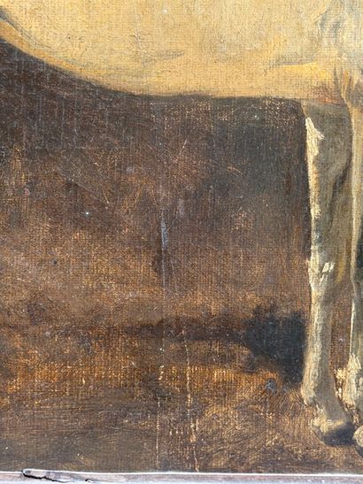 Wouterus I VERSCHUUR (1812-1874) 
Yanko,...