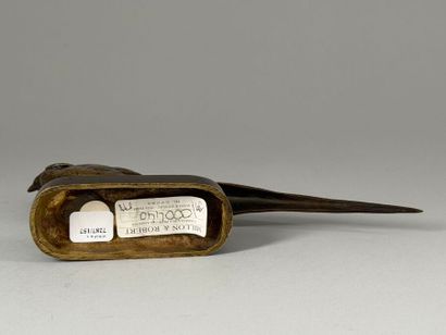 After Henri-Alfred JACQUEMARD (1824-1896)
Pheasant....