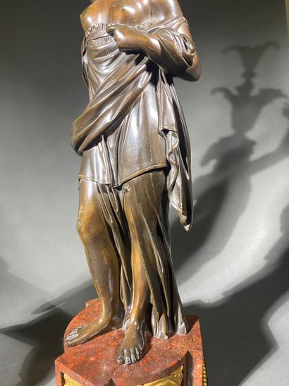 Pair of large patinated bronze and gilt bronze...