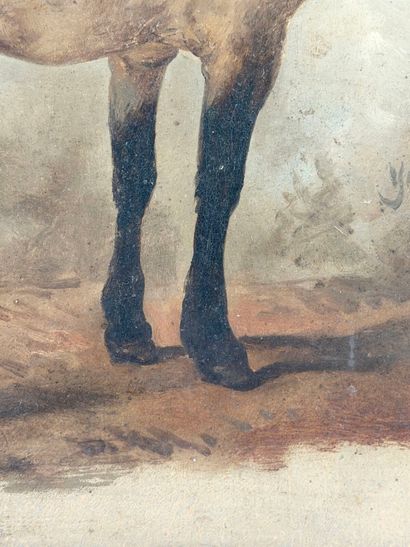 Wouterus I VERSCHUUR (1812-1874) 
Yanko,...