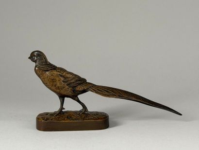 After Henri-Alfred JACQUEMARD (1824-1896)
Pheasant....