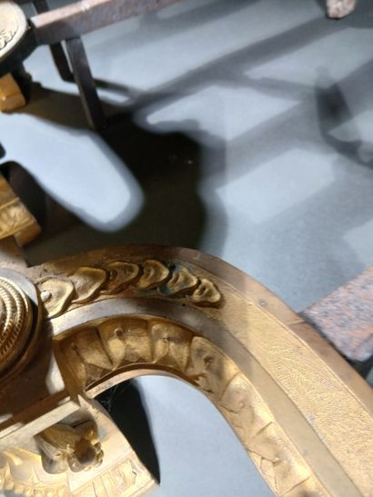 Pair of gilt bronze andirons with vases,...