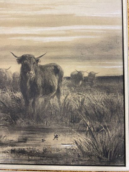 Rosa BONHEUR (1822-1899). 
Herd of Cows....