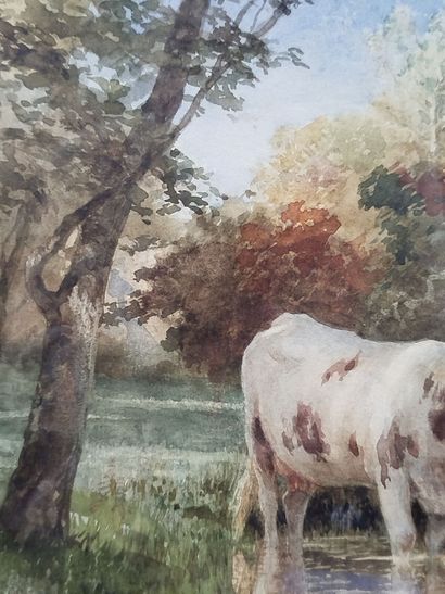 Auguste-François BONHEUR (1824-1884). 
Cows...