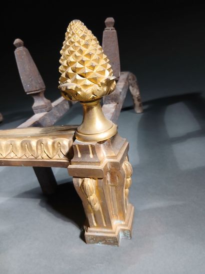 Pair of gilt bronze andirons with vases,...