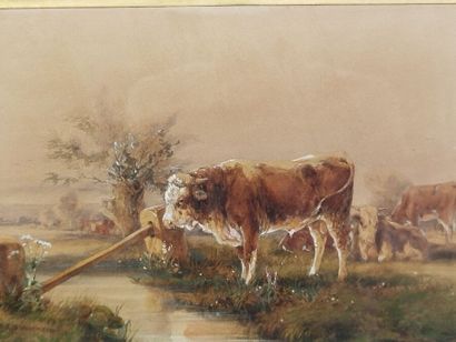 Jacques-Raymond BRASCASSAT (1804–1867) 
Bull...