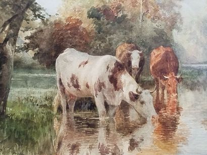 Auguste-François BONHEUR (1824-1884). 
Cows...