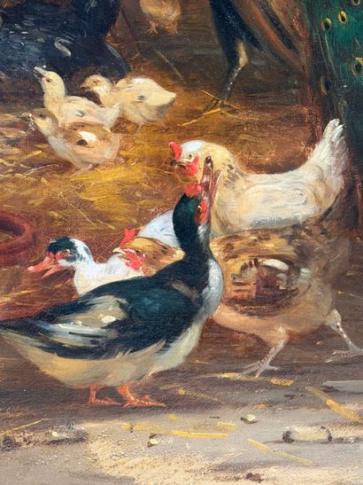 Claude GUILLEMINET (1821-1885)
Chickens,...