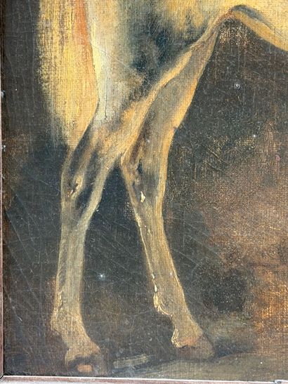 Wouterus I VERSCHUUR (1812-1874) 
Yanko,...