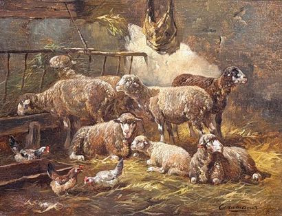 Charles-Ferdinand CERAMANO (1831-1909)
Sheep...