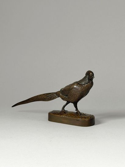 After Henri-Alfred JACQUEMARD (1824-1896)
Pheasant....