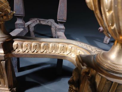 Pair of gilt bronze andirons with vases,...