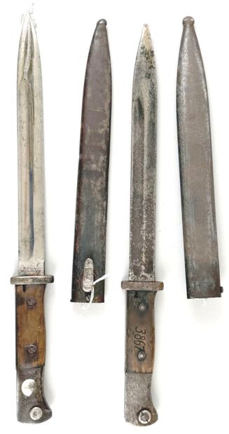 ALLEMAGNE 
Deux baïonnettes 1884-98 : 
Plaquettes...