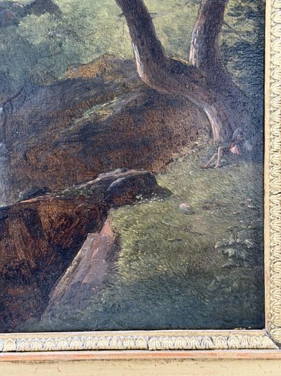 Alexandre MILLIN DUPERREUX (1764–1843)
Waterfall...