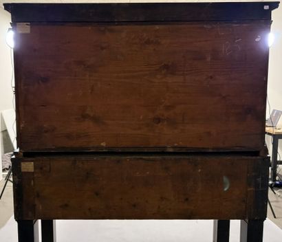 Cabinet made of ebony and blackened wood,...