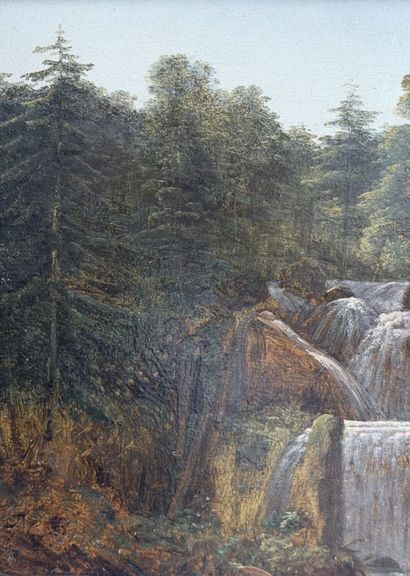 Alexandre MILLIN DUPERREUX (1764–1843)
Waterfall...