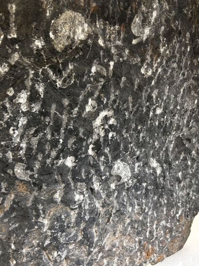 Atlas Mountains, Morocco, Devonian Period,...