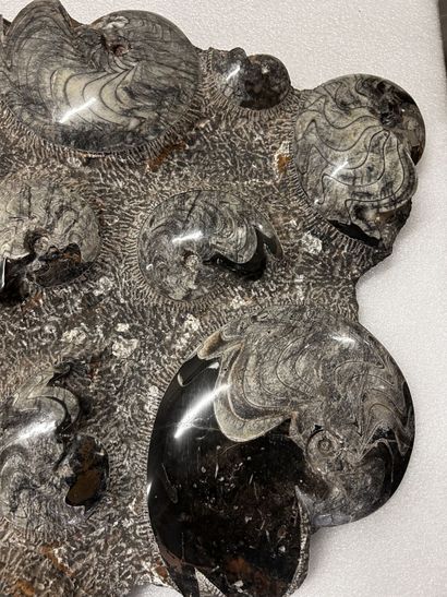 Atlas Mountains, Morocco, Devonian Period,...