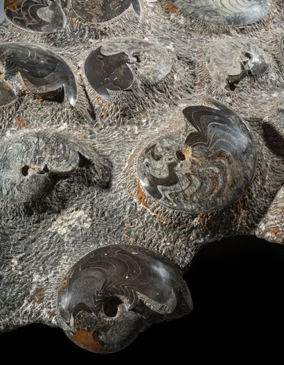 Atlas Mountains, Morocco, Devonian Period,...