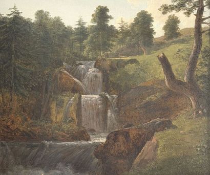 Alexandre MILLIN DUPERREUX (1764–1843)
Waterfall...