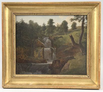 Alexandre MILLIN DUPERREUX (1764–1843)
Waterfall...