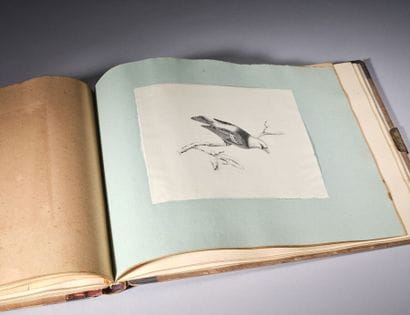 Album Amicorum comprenant environ 45 dessins...