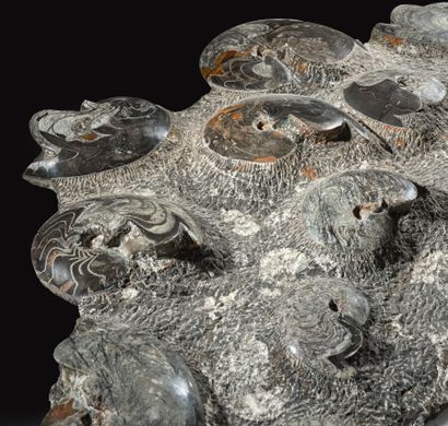 Atlas Mountains, Morocco, Devonian Period,...