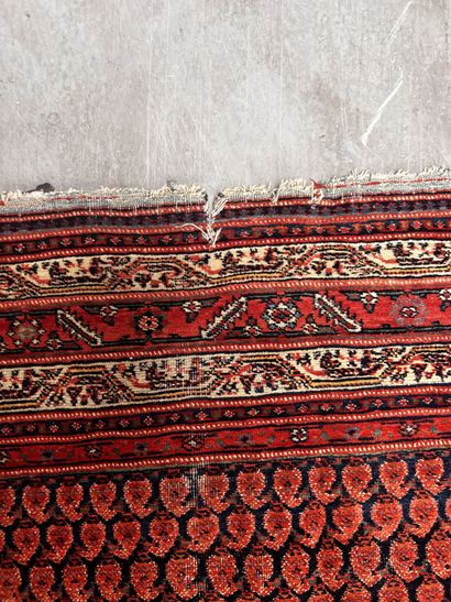 Tapis Ferrahan (chaîne et trame en coton,...