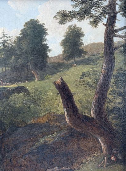 Alexandre MILLIN DUPERREUX (1764–1843)
Waterfall...